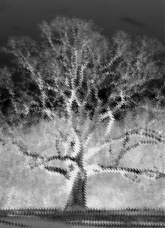 Digital Artistry In Class R By Veronica Lufbery For Rippled Tree 001 MAR-2020.jpg